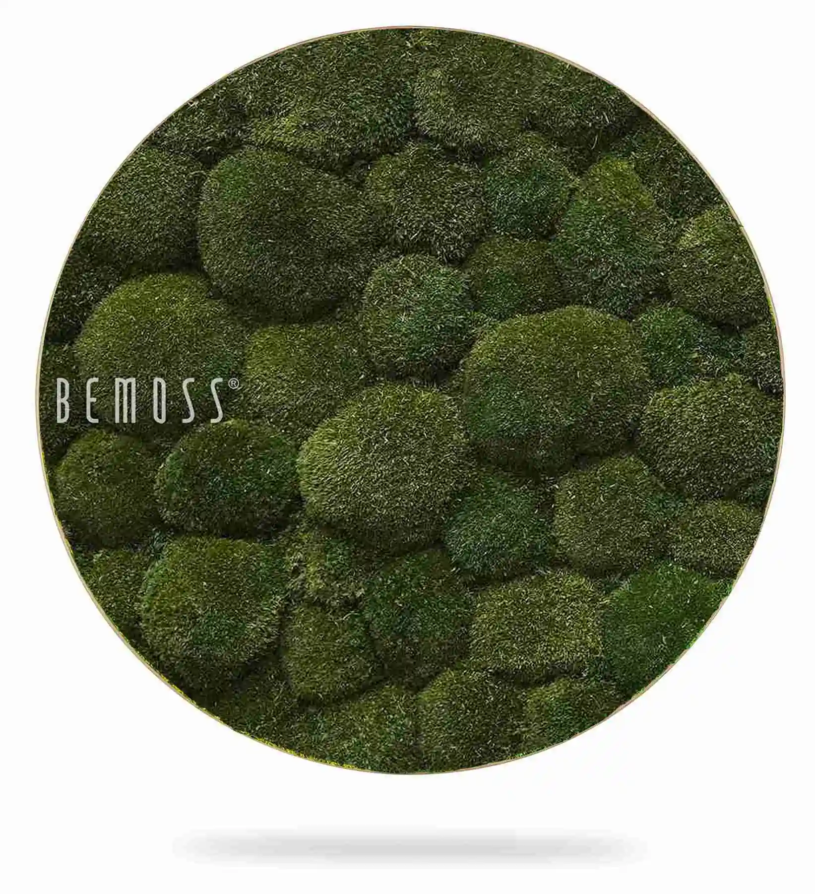Tableau de mousse rond BOLMOSS Natural Green – Image 1