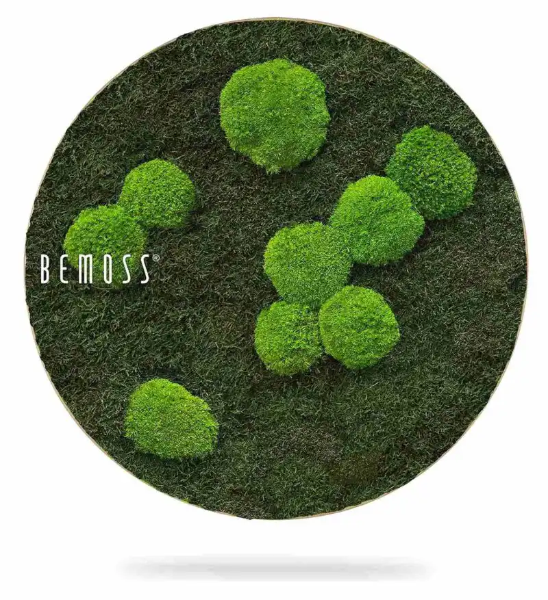 Tableau de mousse rond FLATMOSS & BOLMOSS Light Green