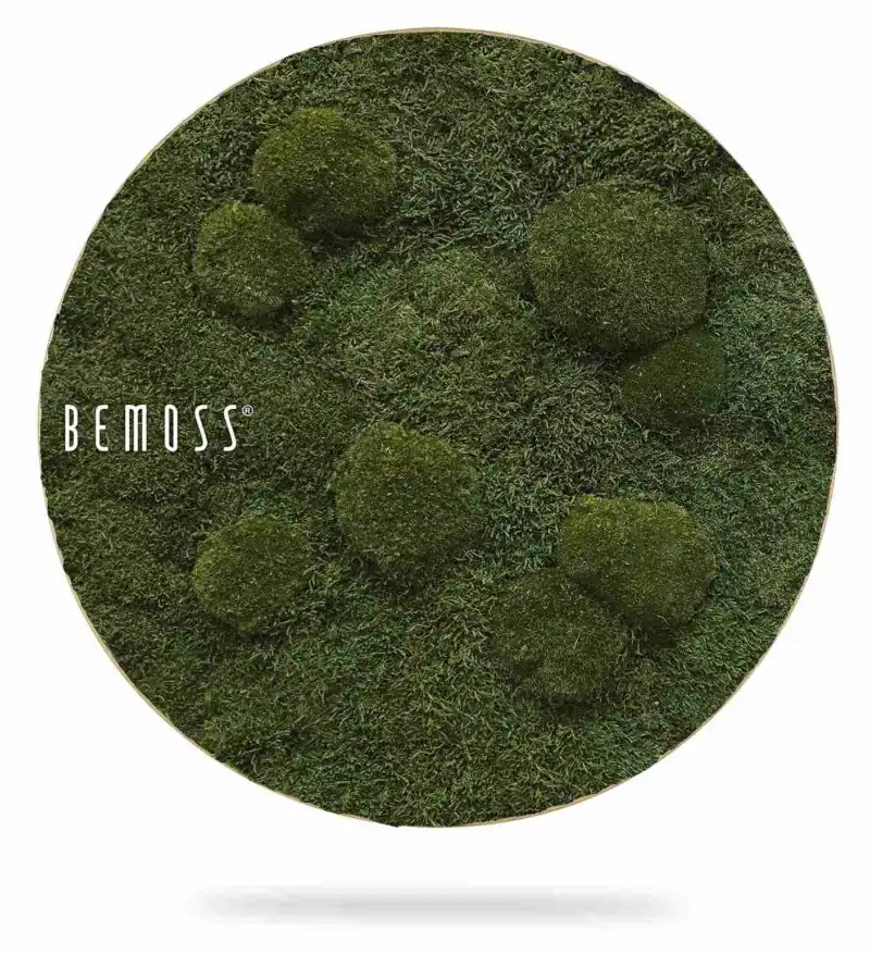 Tableau de mousse rond FLATMOSS & BOLMOSS Natural Green