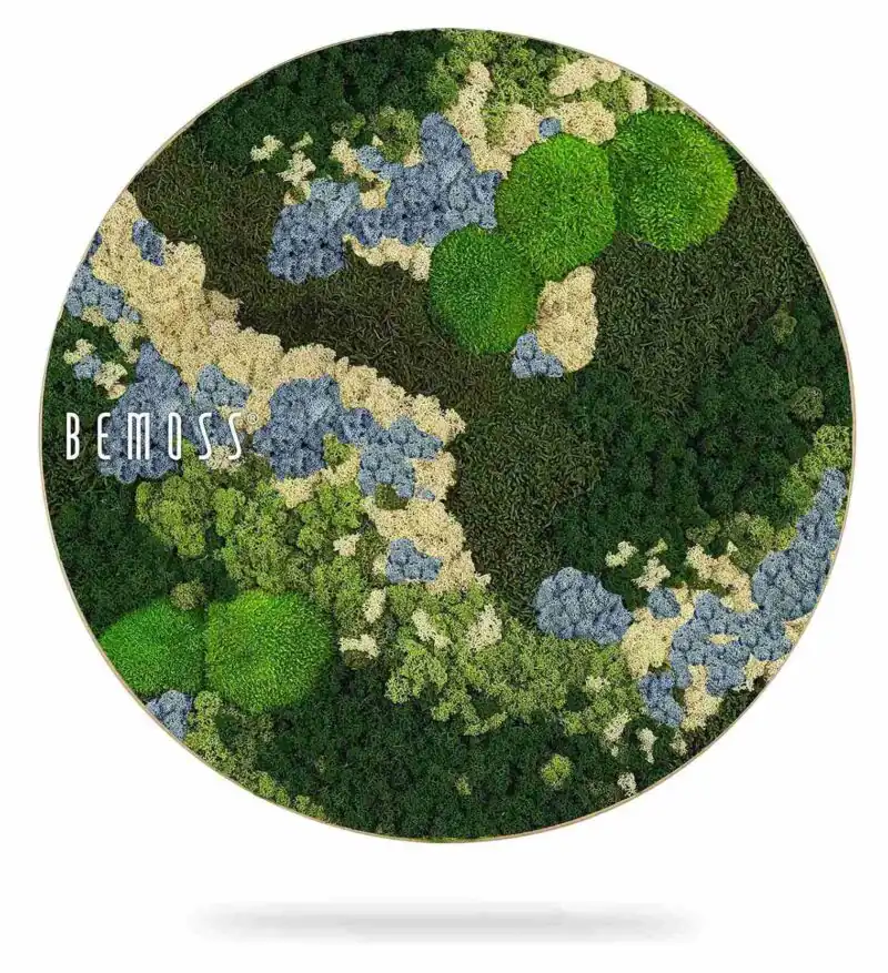 Tableau de mousse rond BEMOSS® ORTHO ICE