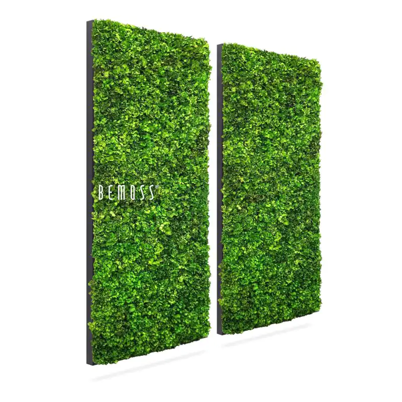Ensemble de tableaux en mousse BEMOSS® MIMI