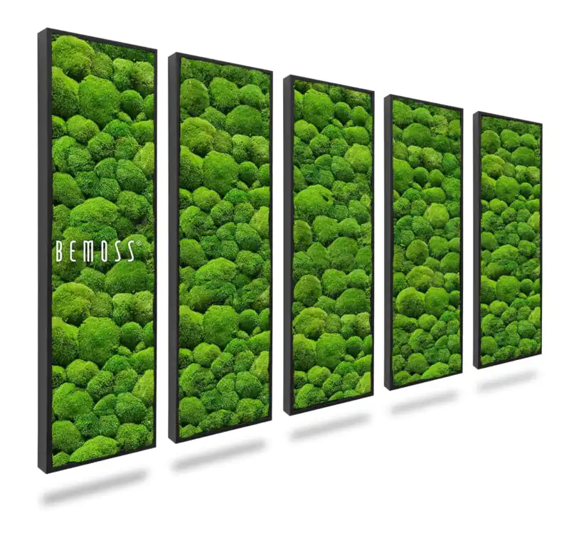 Ensemble de tableaux en mousse BOLMOSS