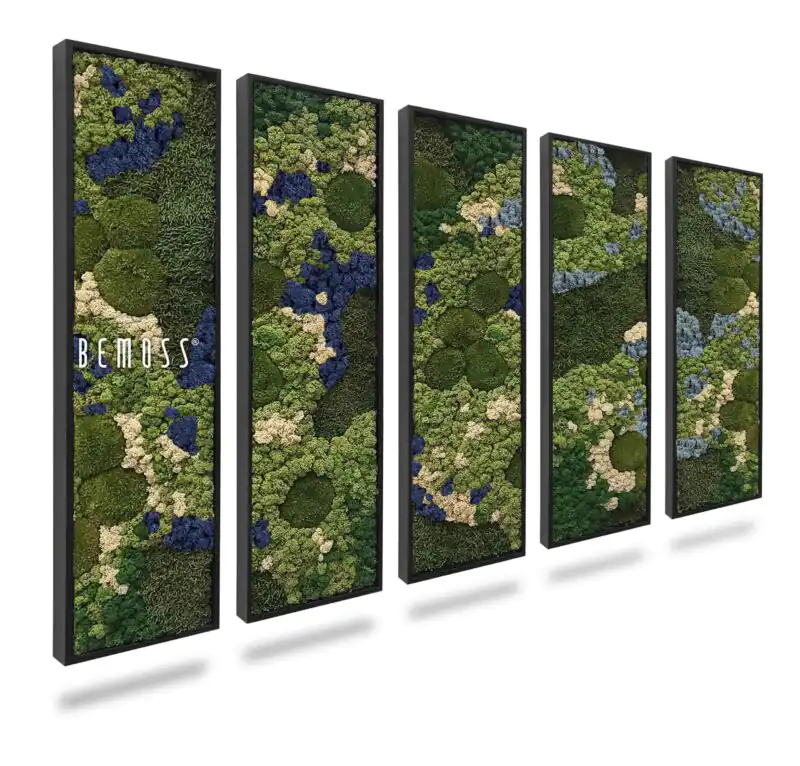 Ensemble de tableaux de mousse BEMOSS® ORTHO BLUE