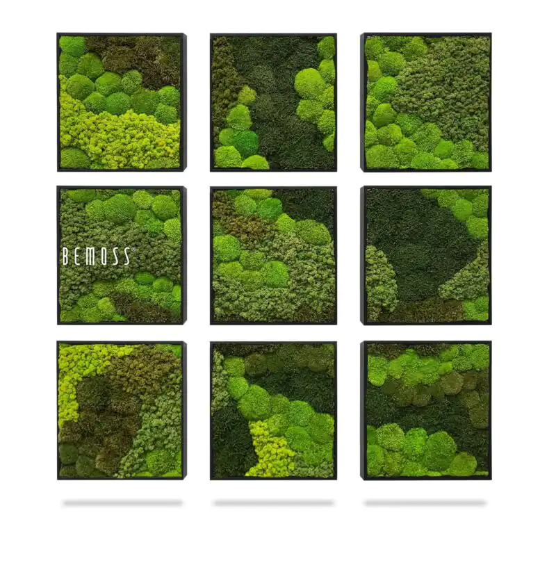 Ensemble de tableaux en mousse BEMOSS® ORTHO VERDIA Mosaic