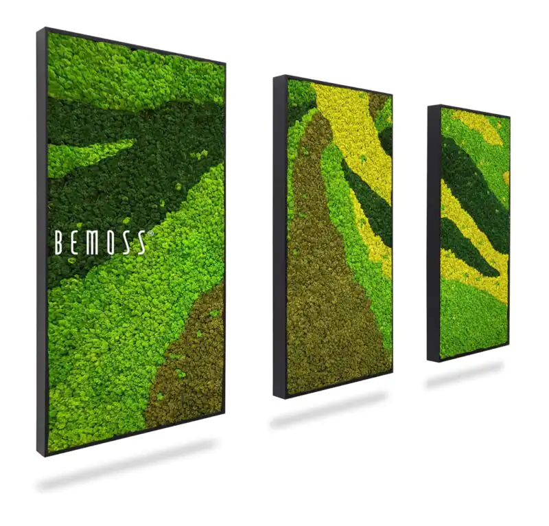 Ensemble de tableaux en mousse BEMOSS® ORTHO CARROT