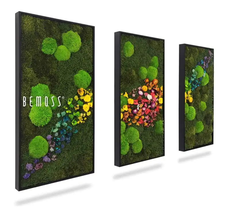 Ensemble de tableaux en mousse ACEBO