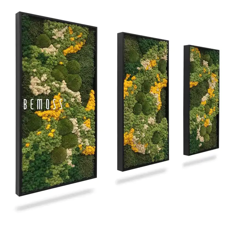 Ensemble de tableaux en mousse BEMOSS® ORTHO YELLOW