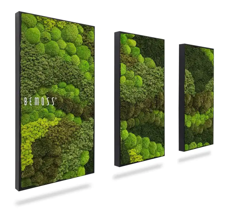 Ensemble de tableaux de mousse BEMOSS® ORTHO VERDIA TRIO