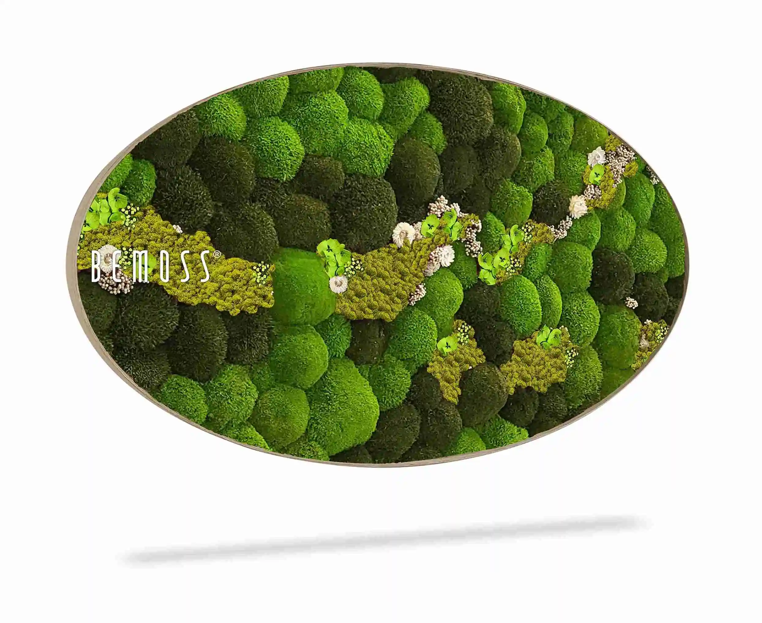 Tableau de mousse Ellipse BOLMOSS COSMO Lime – Image 3