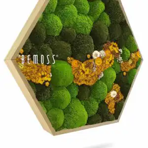Hexagone de Mousse BOLMOSS COSMO Jaune