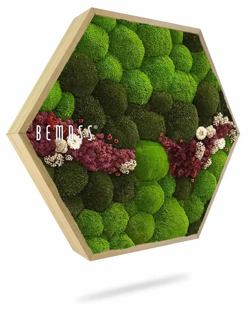 Hexagone de mousse BOLMOSS COSMO Bourgogne