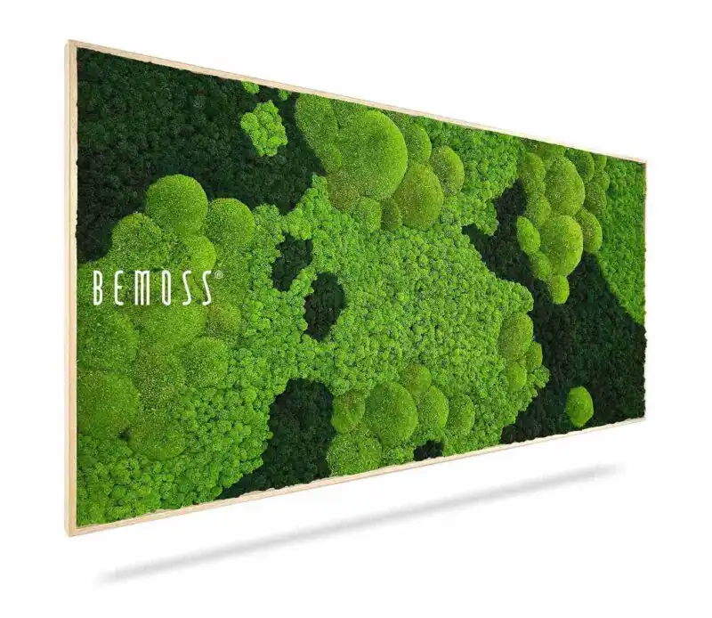Tableau de mousse BEMOSS® ORTHO CORCON
