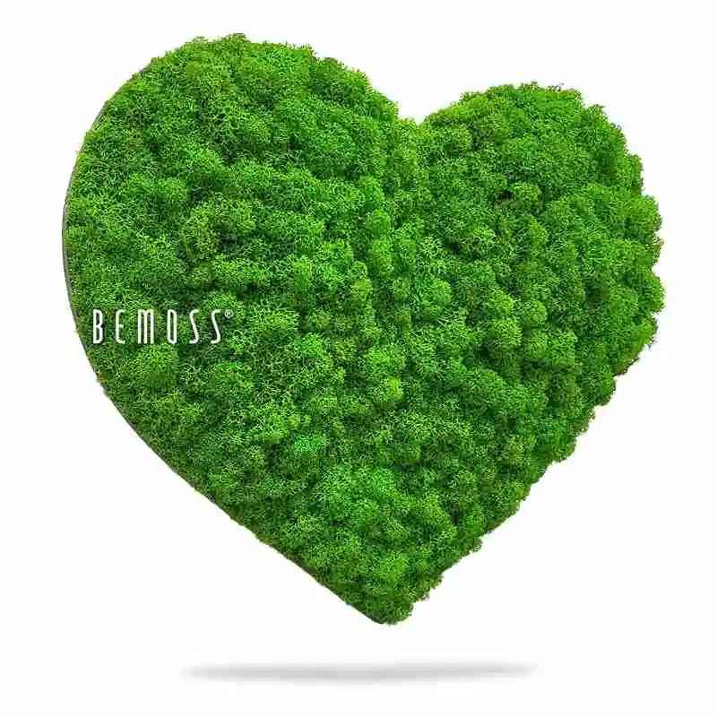 Cœur de mousse LICHEN mono GREEN – Image 3
