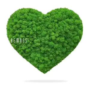 Cœur de mousse LICHEN mono GREEN - Thumbnail Image 1