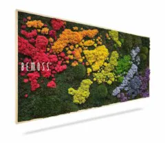 Le Tableau de mousse BOLMOSS Light Green (Kópia) est une œuvre d'art murale rectangulaire présentant de la mousse et des fleurs préservées dans un motif arc-en-ciel avec "BEMOSS" à gauche, sur fond blanc et encadrée en bois clair.