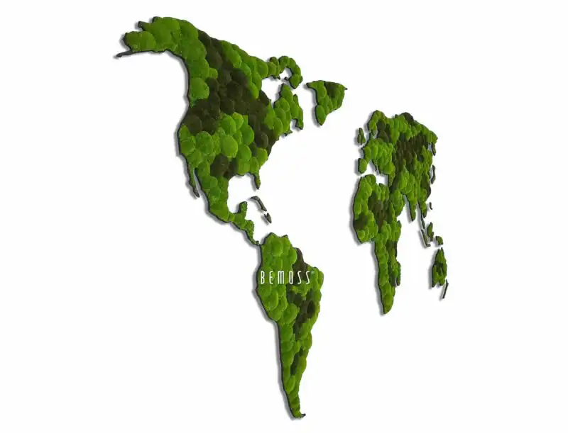 Tableau de mousse Carte du monde CONTINENTS BOLMOSS DUO Light